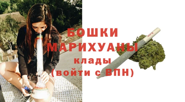 стаф Вязьма